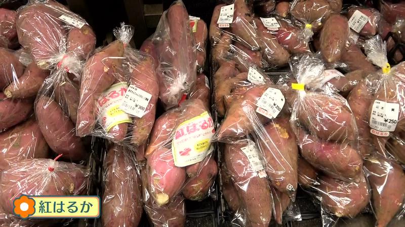 サツマイモ(紅はるか)