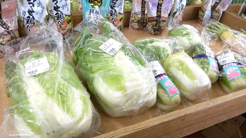 販売されているハクサイ