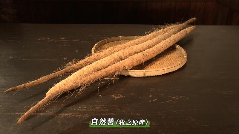 自然薯(牧之原産)