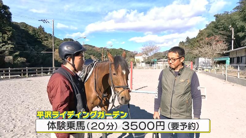 乗馬体験料金　3500円