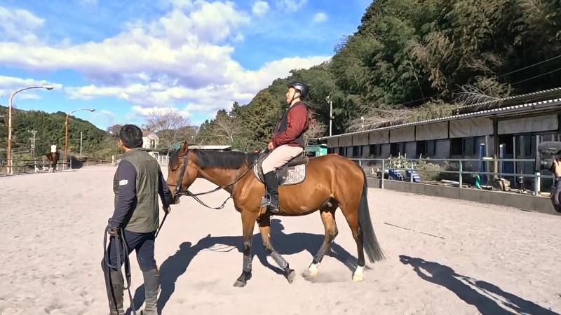 にむらリポーターの体験乗馬