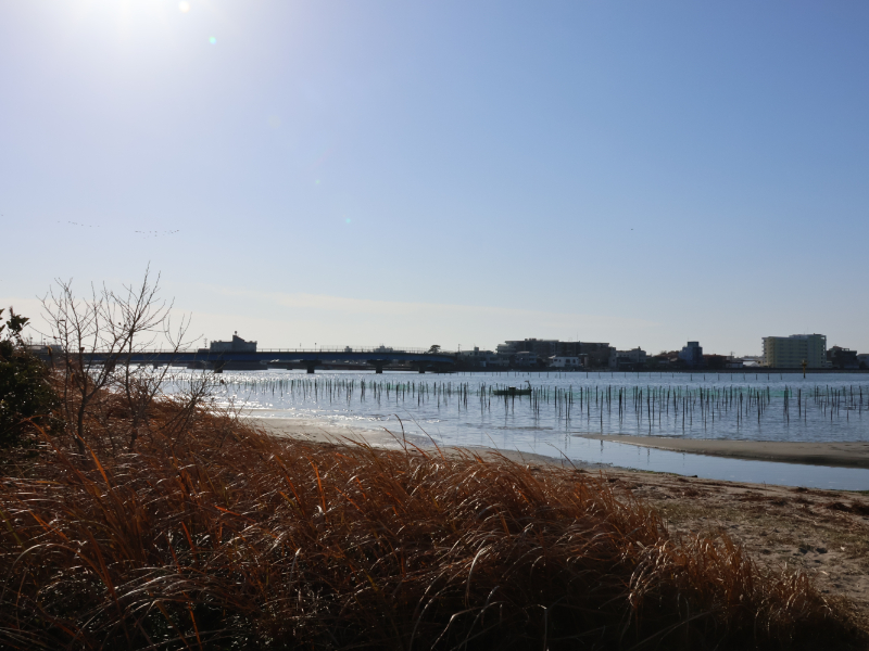 浜名湖の湖岸