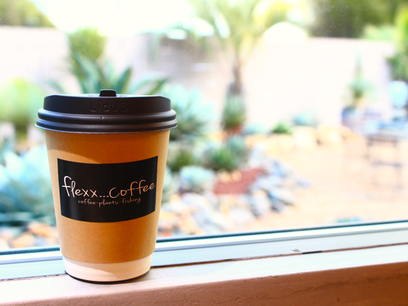 店内カウンター席から庭をのぞむ