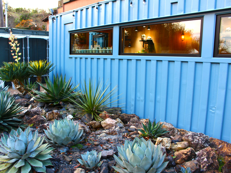 フレックスコーヒーの外観