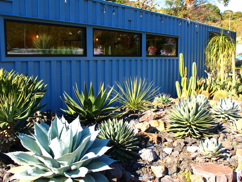 外観と庭の植物