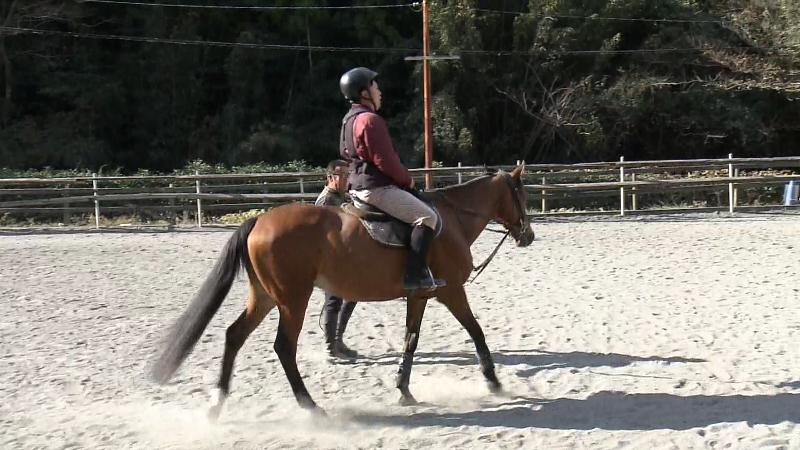 速歩で歩くまさる
