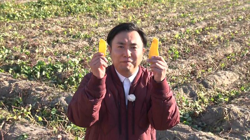 サツマイモ畑に立つにむらあつとリポーター