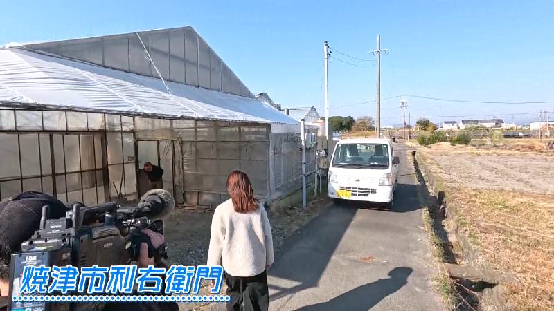 トマトのハウス(焼津市利右衛門)