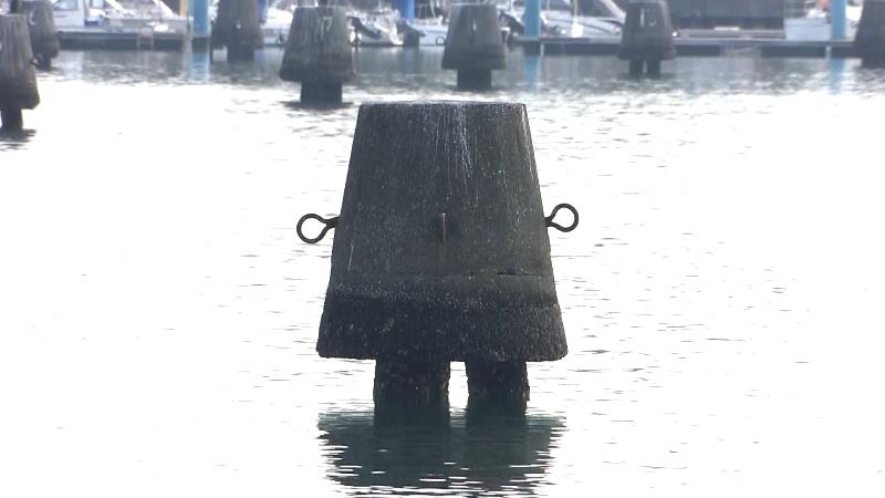 折戸湾の貯木杭