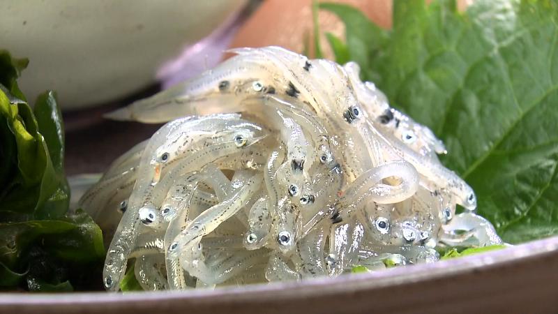 静岡刺し盛(2948円)