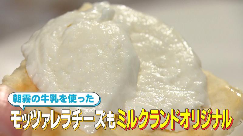 朝霧の牛乳を使ったモッツァレラチーズ