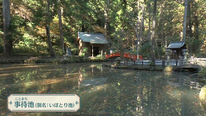 事待池(別名 いぼとり池)