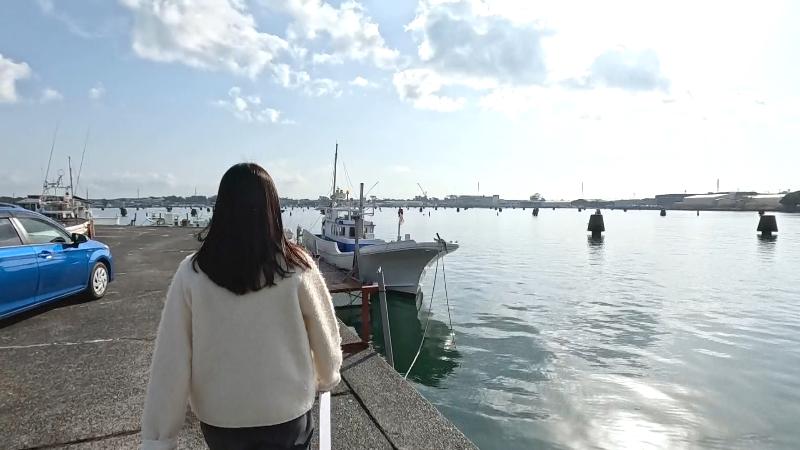 折戸湾の貯木杭