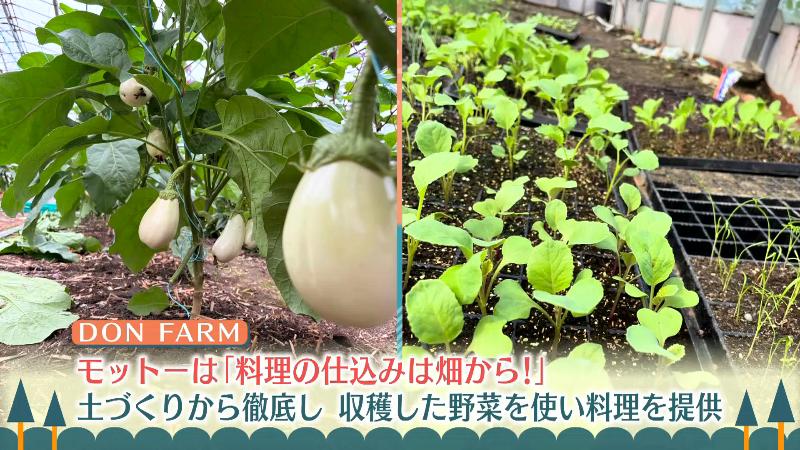 ドンファームの自家農園