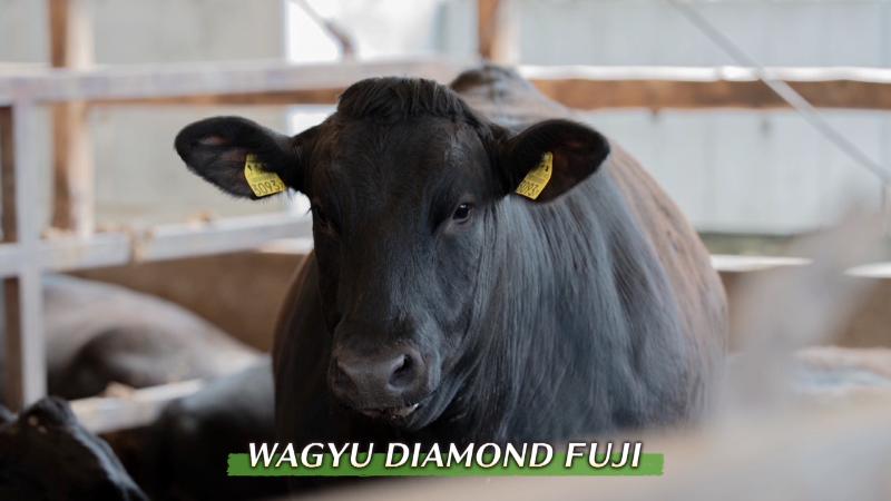 静岡県産のブランド和牛「WAGYU DIAMOND FUJI」