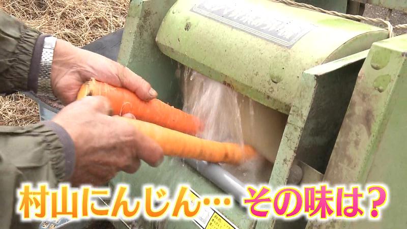 とれたての村山にんじんを水洗い