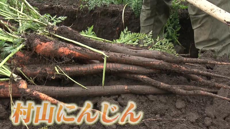 幻の野菜　村山にんじん
