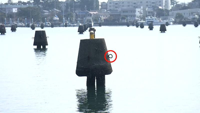 折戸湾の貯木杭