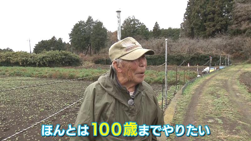 村山にんじん農家鈴木さんの意気込み