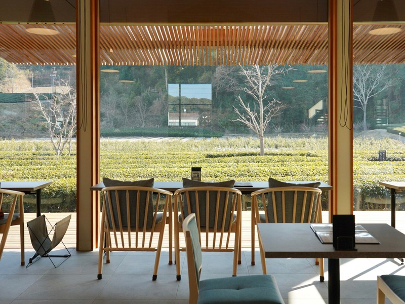 茶畑が見える特等席