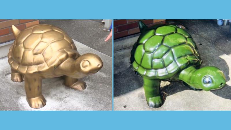 左)現在のカメ 右)以前のカメ