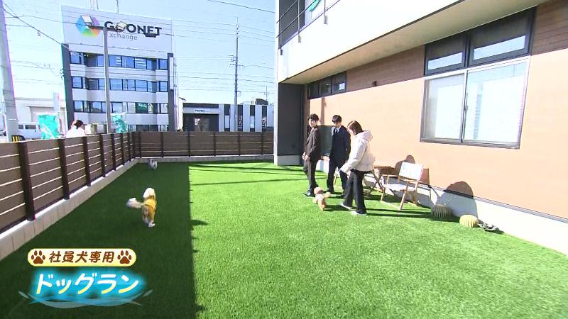 社員犬専用のドッグラン