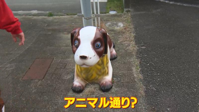 イヌっぽい動物