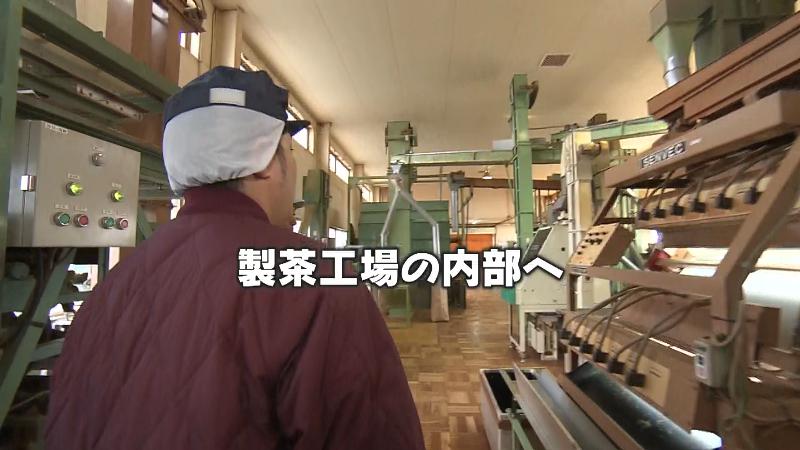 製茶工場へ潜入