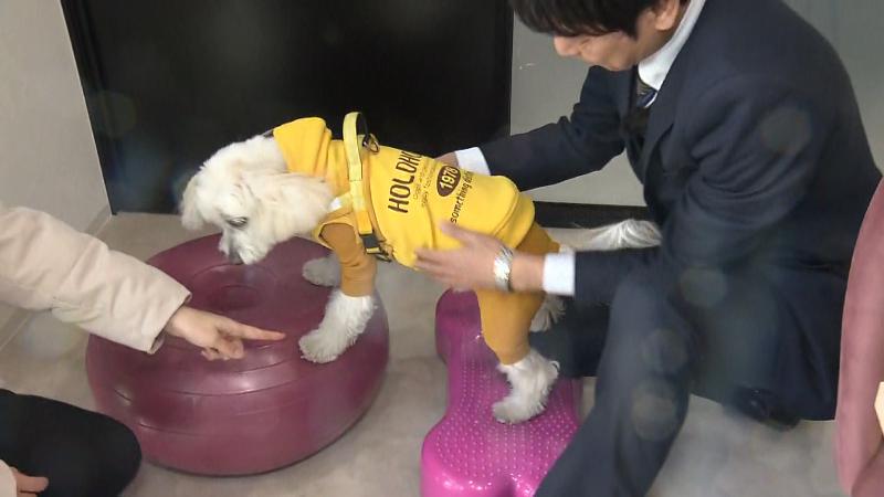 トレーニングコーナーで運動するラブ部長