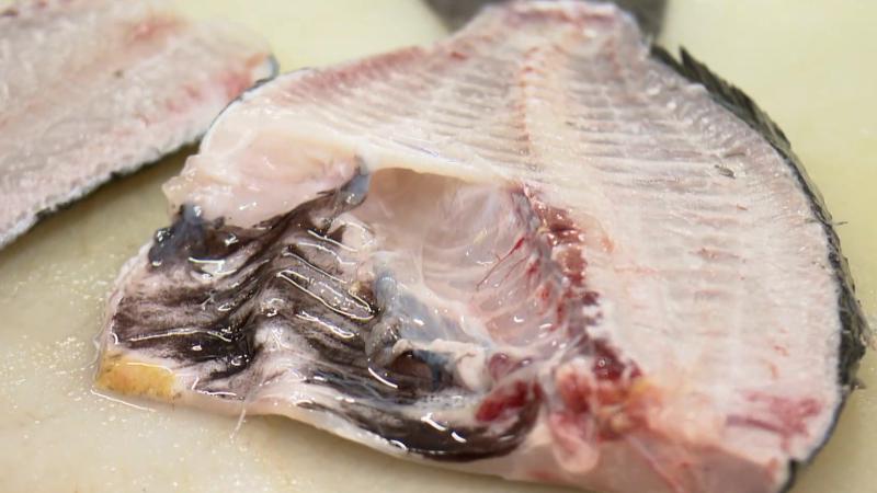 捌いた白身魚