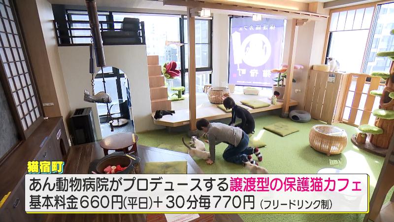 「あん動物病院」がプロデュース