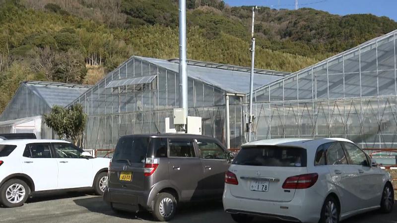 カフェの隣に並ぶ農業用ハウス