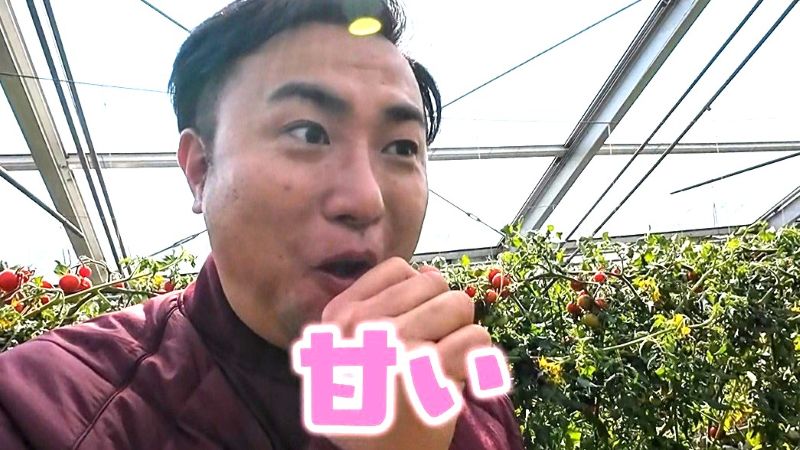試食したトマトダの甘さに驚くにむらリポーター