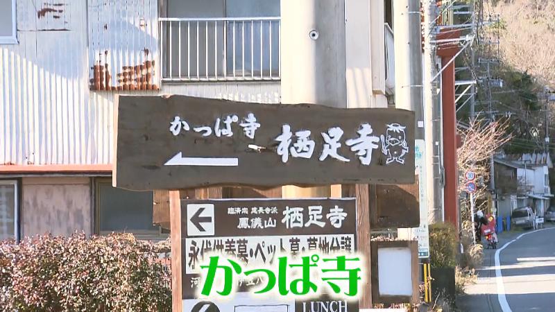 「かっぱ寺」と書かれた看板