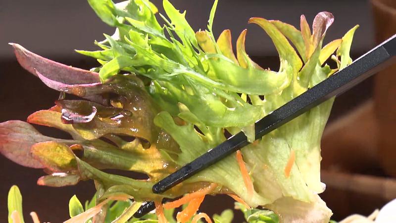 吉田町産のシャキシャキレタス