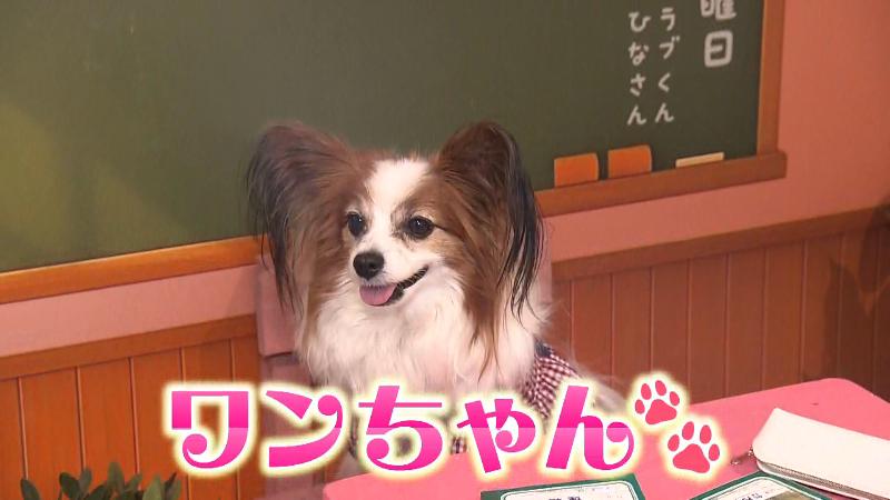 宣伝副部長のひなちゃん