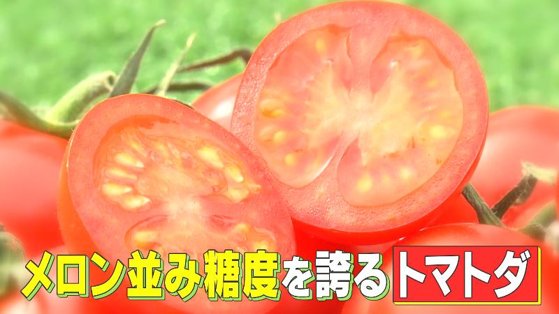 メロン並みの糖度を誇る「トマトダ」