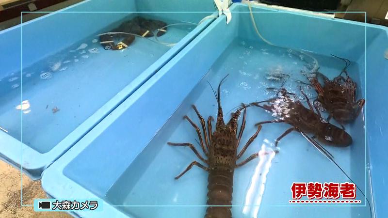 大きな伊勢海老