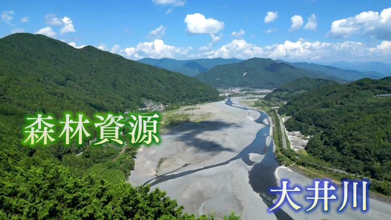 大井川と緑が深い山々