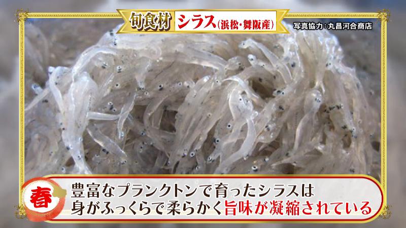 シラス(浜松・舞阪産)