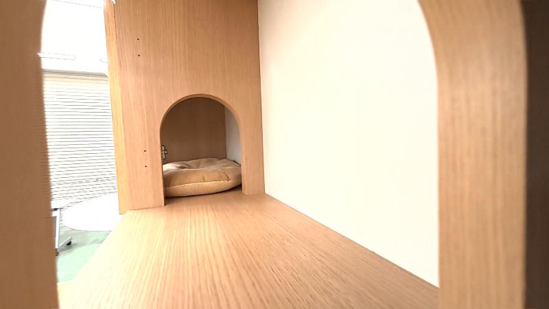 ネコ目線で見るニャコモ内部