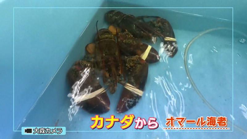 綾市商店 オマール海老