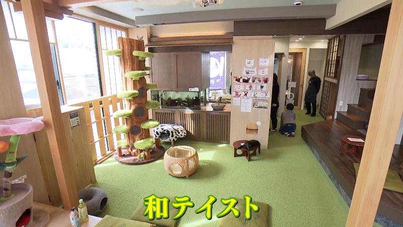 和テイストにこだわった空間