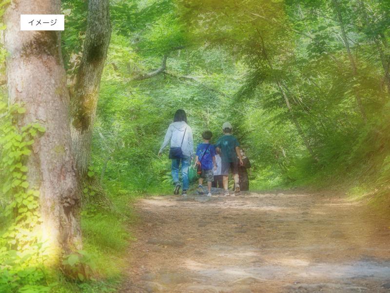 イメージ:森の中を歩く親子