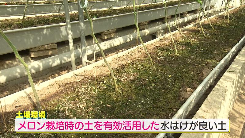 メロン栽培時の土を有効活用した水はけのいい土
