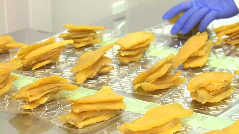 干し芋製造の作業風景