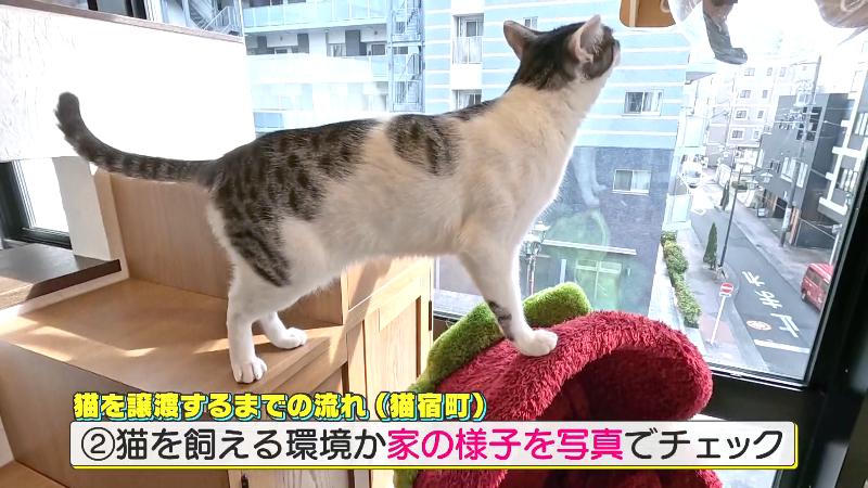 家の中を写真でチェック