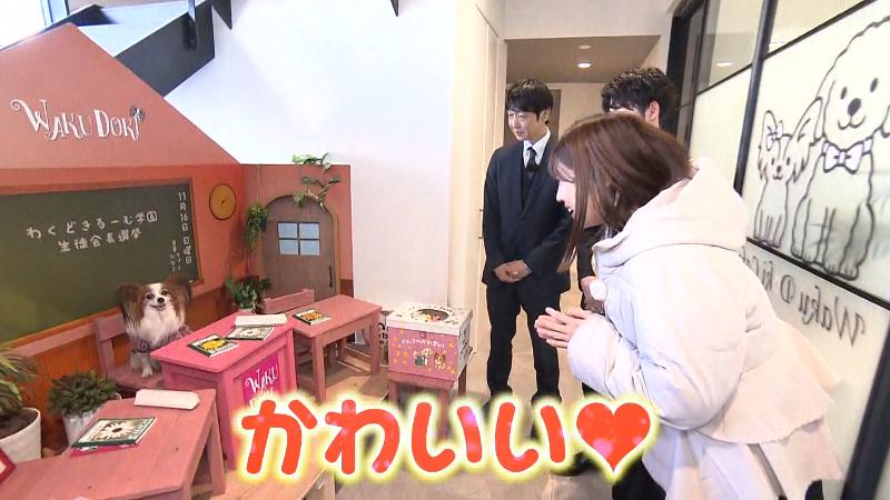 セットに座るひな宣伝副部長