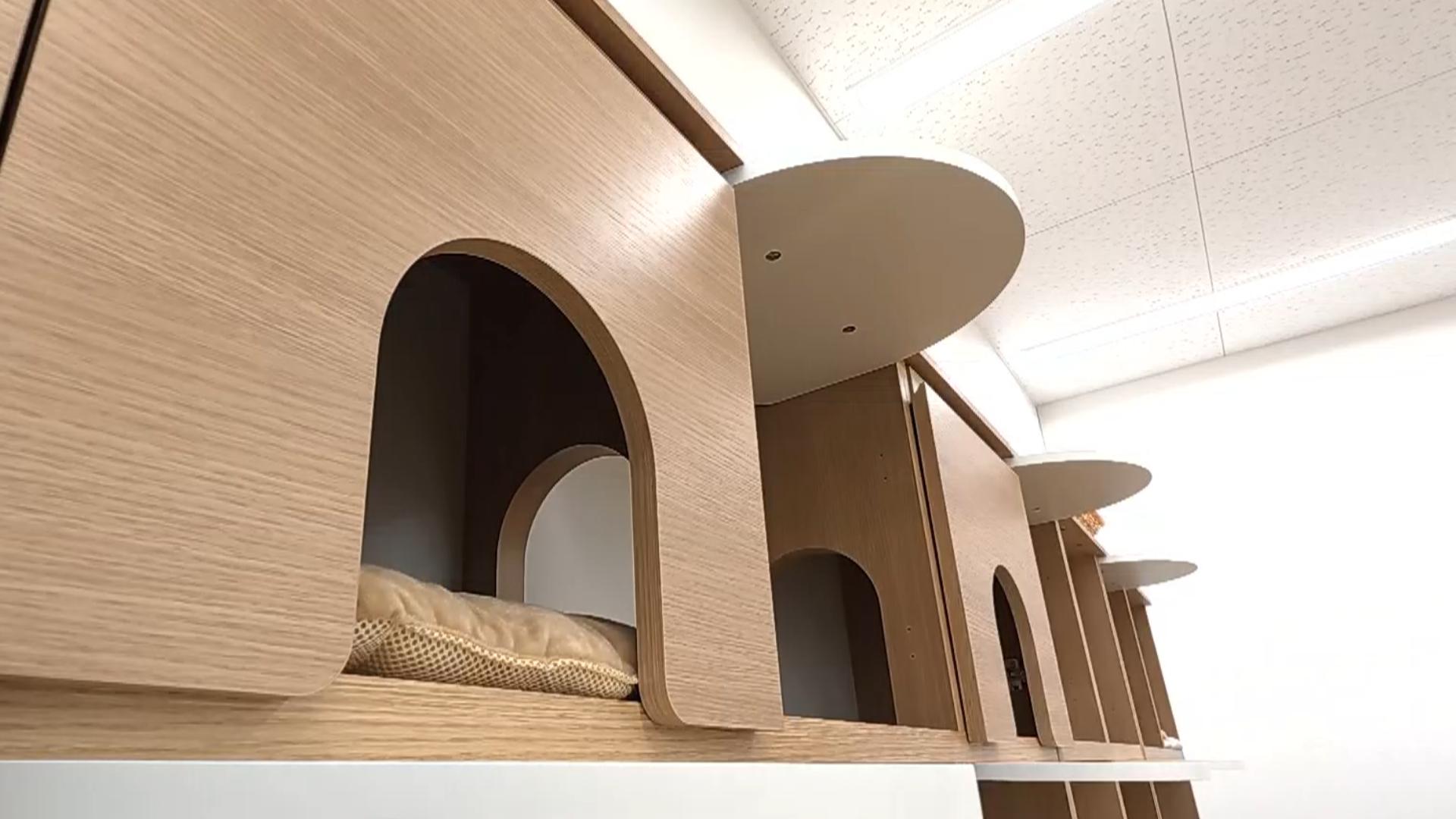 ニャコモ　白いステップ台