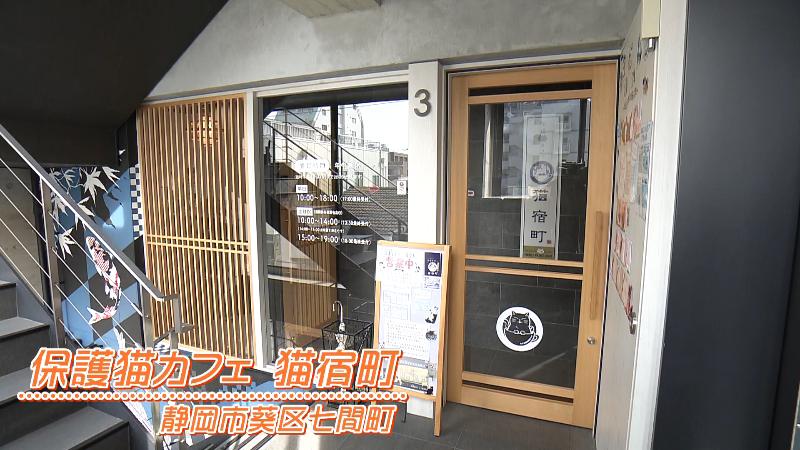 保護猫カフェ 猫宿町(静岡市葵区七間町)